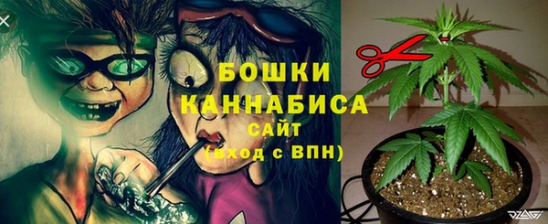 сатива Армянск