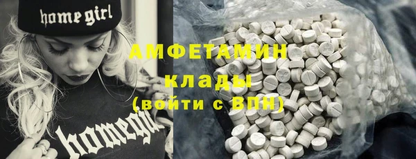 сатива Армянск
