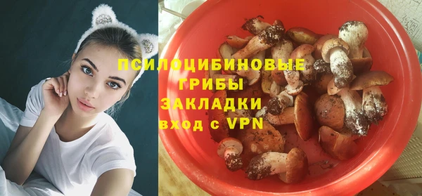 бошки Арсеньев